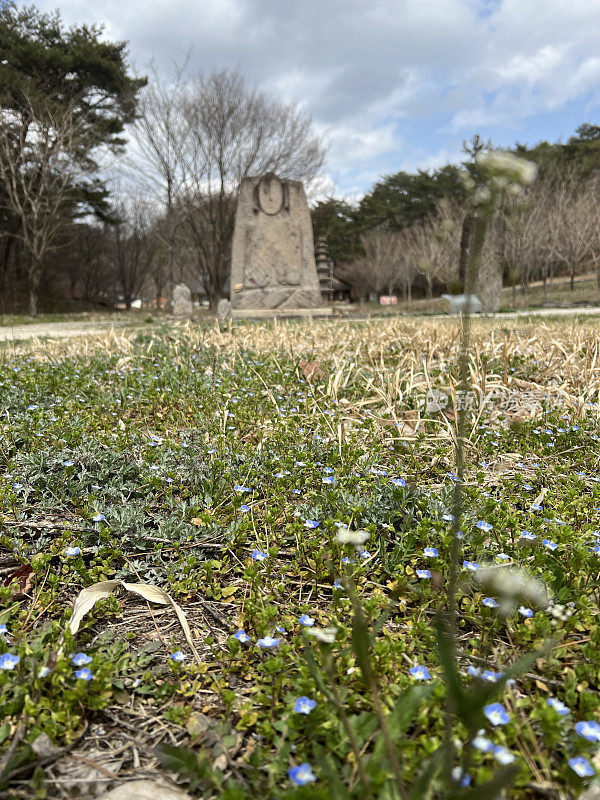 千佛塔/文殊寺/新罗佛教寺院/和顺郡/全南道/韩国